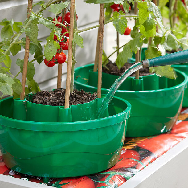 All-in-One Plant Watering and Support System (Set of 3)