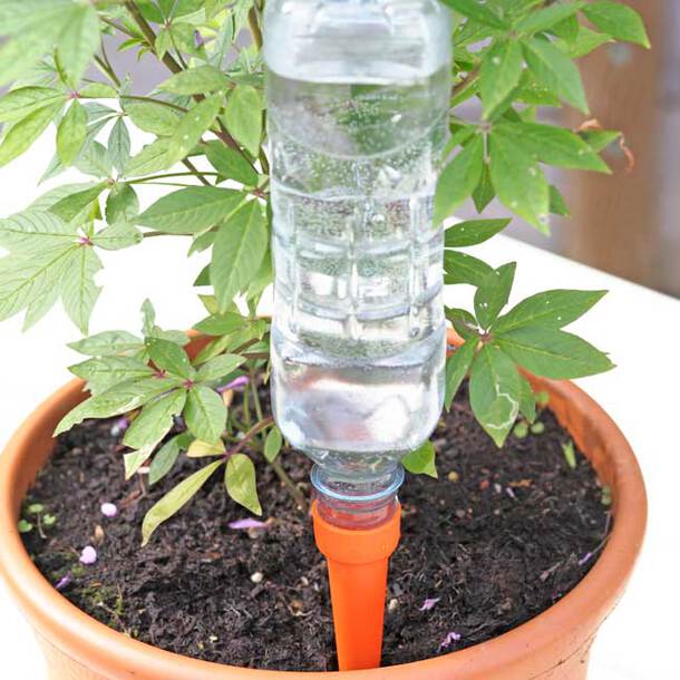 Slow-Drip Automatic Plant Watering Spikes (8-Pack)